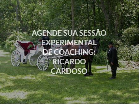 Sessão Experimental de Coaching - Inteligência Emocional: